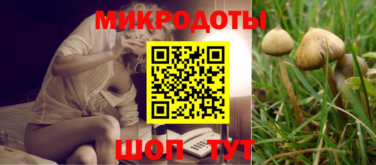 Псилоцибиновые грибы MAGIC MUSHROOMS Златоуст